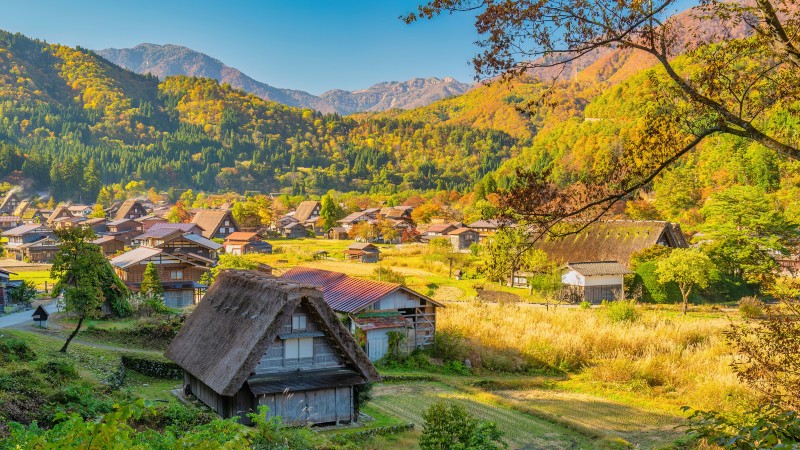 Shirakawago 