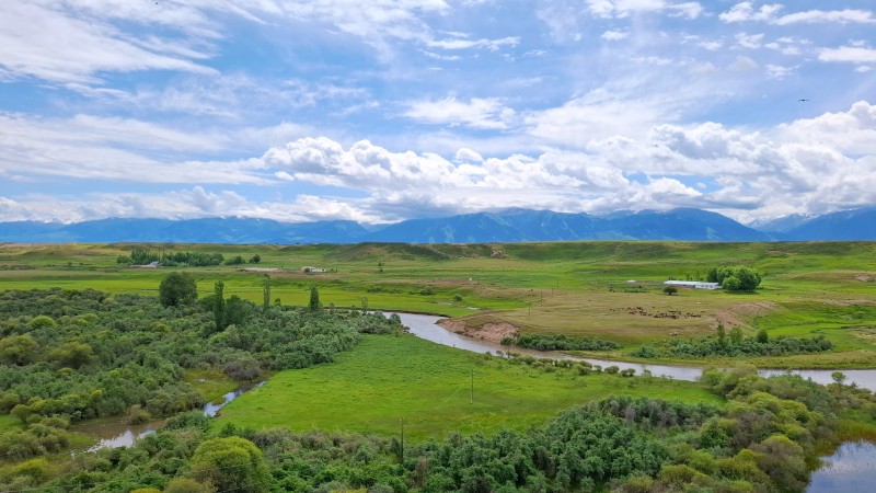 Gr�nne marker p� landbrukskomplekset 