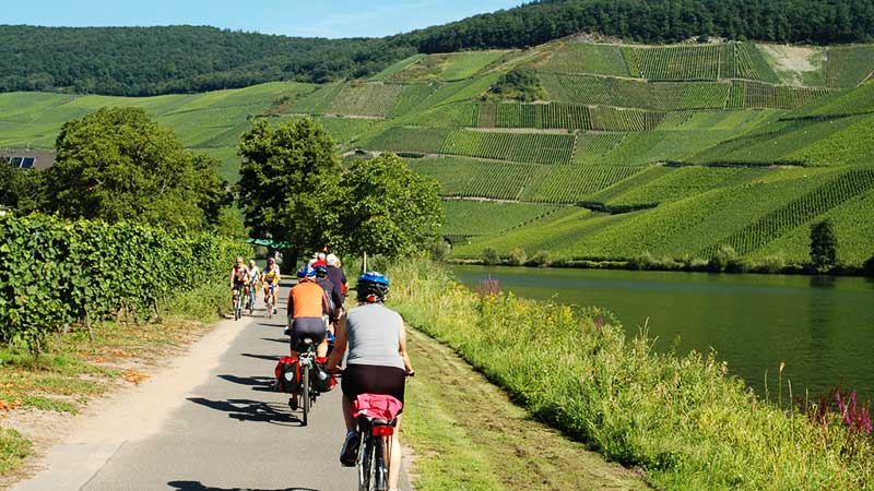 Sykkelcruise i Moseldalen