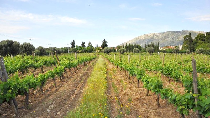 Vinmark