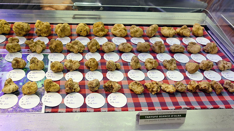 Hvite tr�fler til salgs p� marked i Piemonte