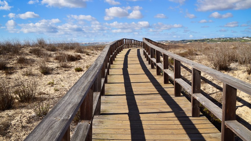 gangvei over myrer og v�tmark