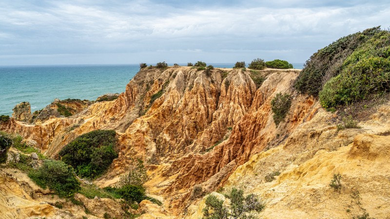 fjell, vandring, vegetasjon og hav
