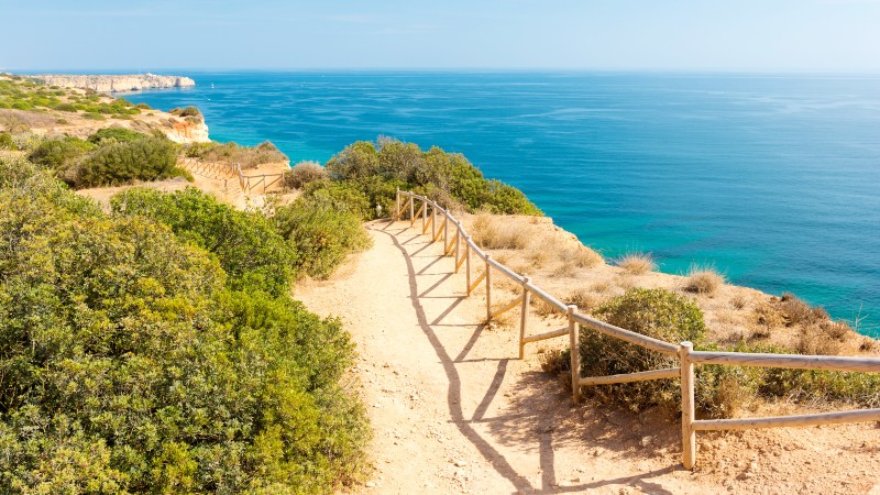 busker, grussti, gjerde � st�tte seg p� langs havet