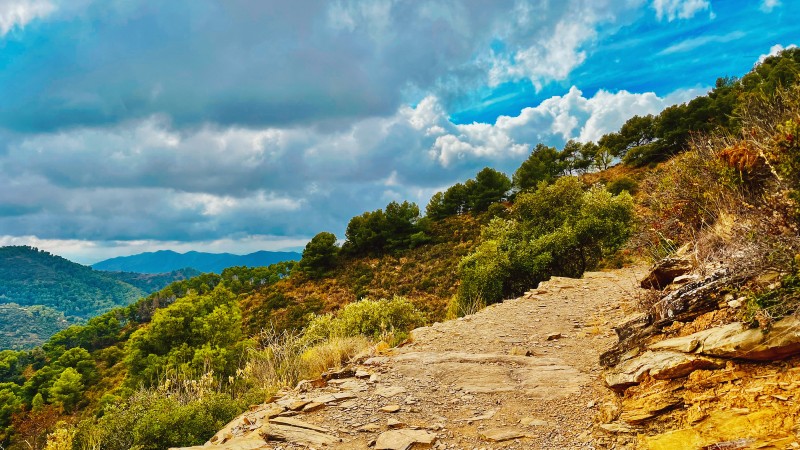 Tursti i fjellområdet ved Málaga grus, sti, busker og himmel