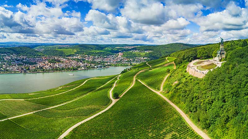 Vinmarkene ved Rüdesheim og Niederwald-monumentet