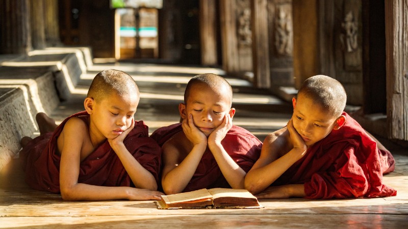 unge munker som leser bok