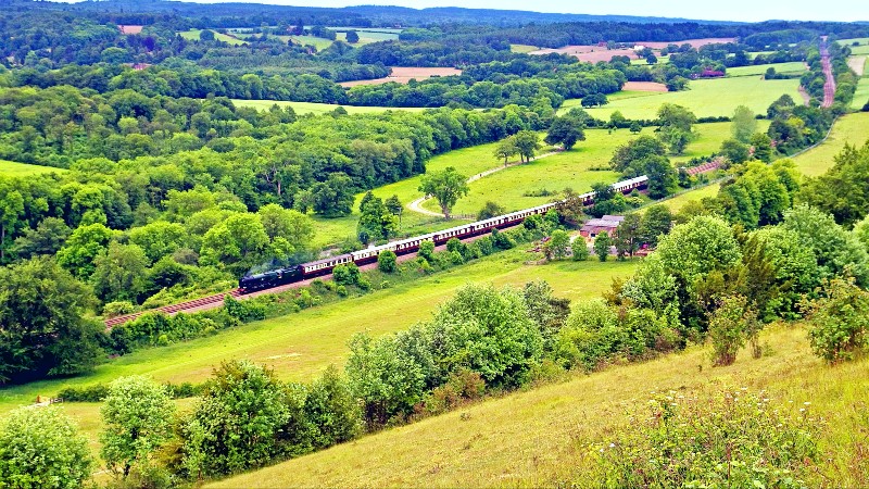 Tog gjennom gr�nt landskap