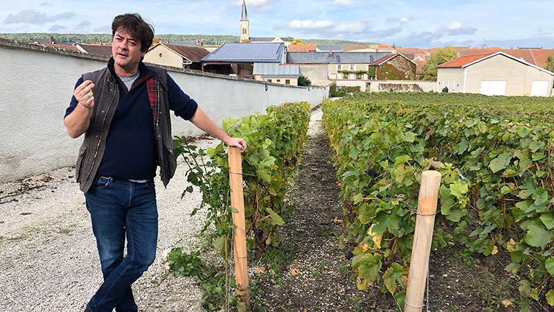 Champagne Andr� Clouet