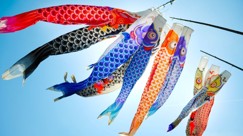 Fargerike fiskevimpler flyr i vinden