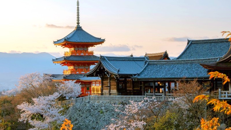 Tempel og h�sttr�r i Kyoto