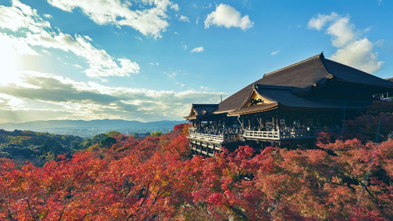 Tempel og h�sttr�r i Kyoto