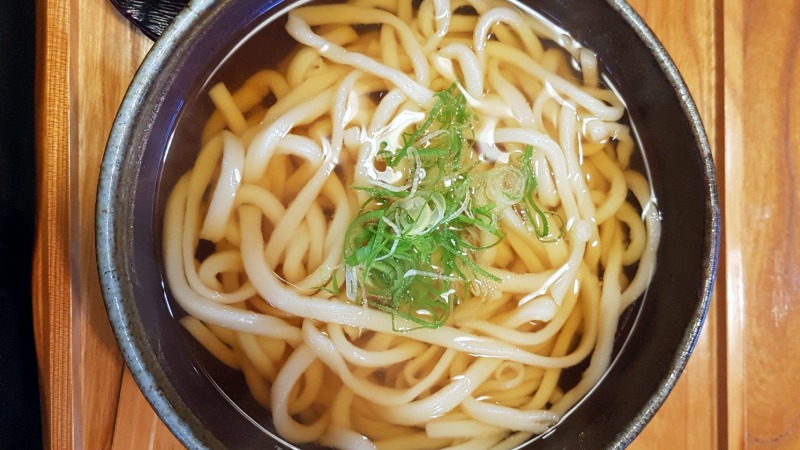 Udon nudler