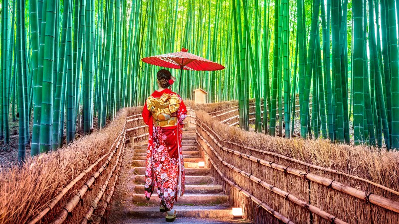 En geisha g�r p� en sti mellom bambustr�r