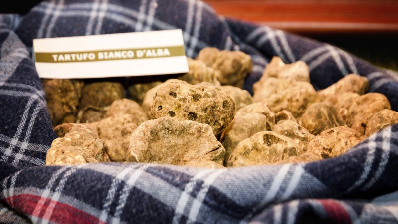 Hvite tr�fler i en kurv