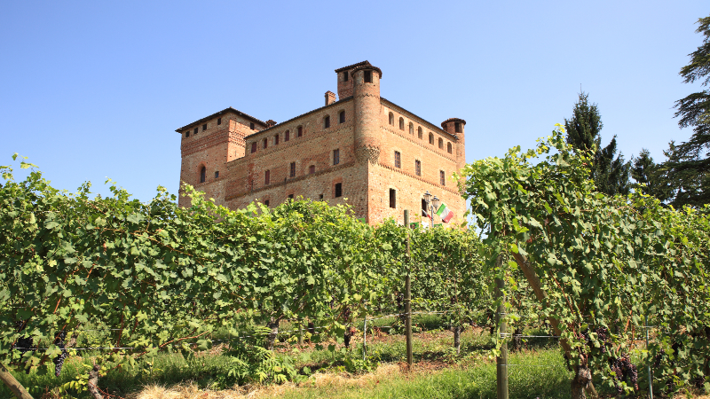 Gammelt slott, med vinranker i forgrunnen