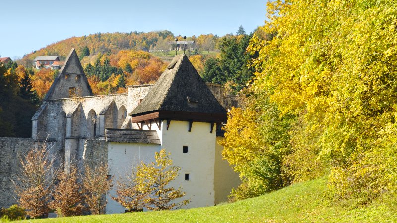 Žička Kartuzija-klosteret Kloster