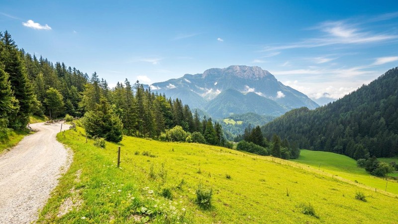 Pohorje Grønn åsside og fjelltopp i bakgrunnen