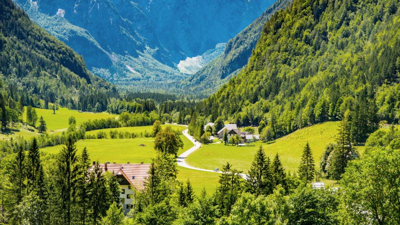 Solčava panoramavei Grønn dal med skogskledde fjellsider
