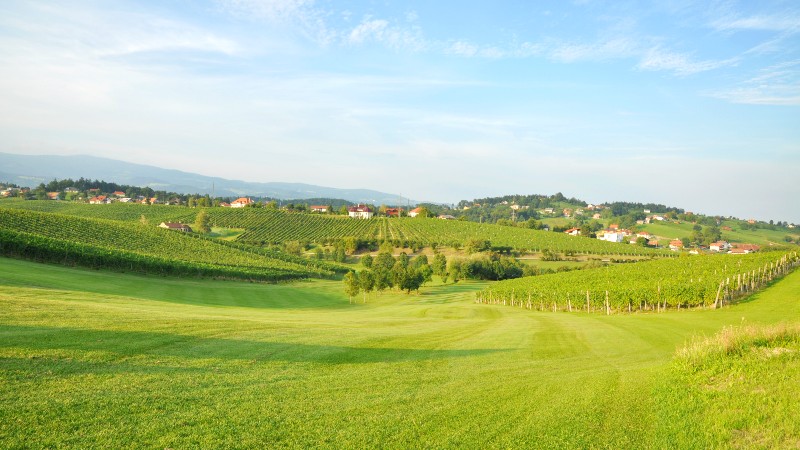 Zreče Grønne enger og vinmarker