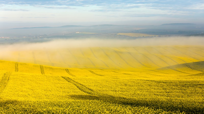 Landskap i S�r-Moravia