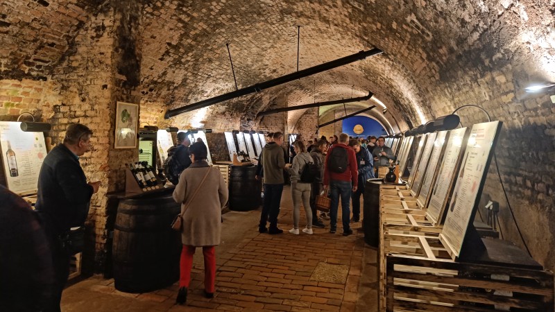 Vinkjeller hos Sal�n v�n ČR