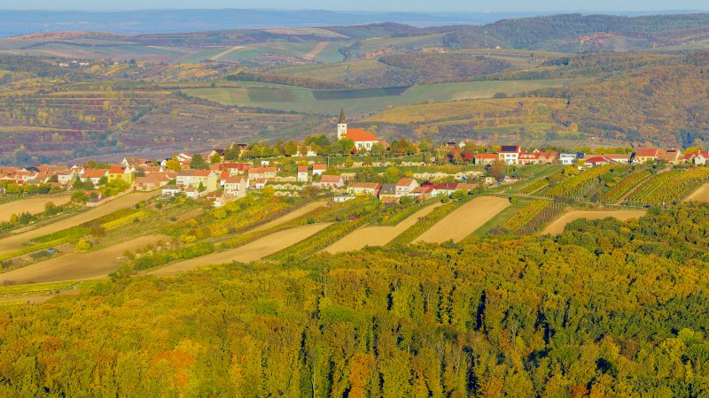 Vinmarker rundt Vrbice