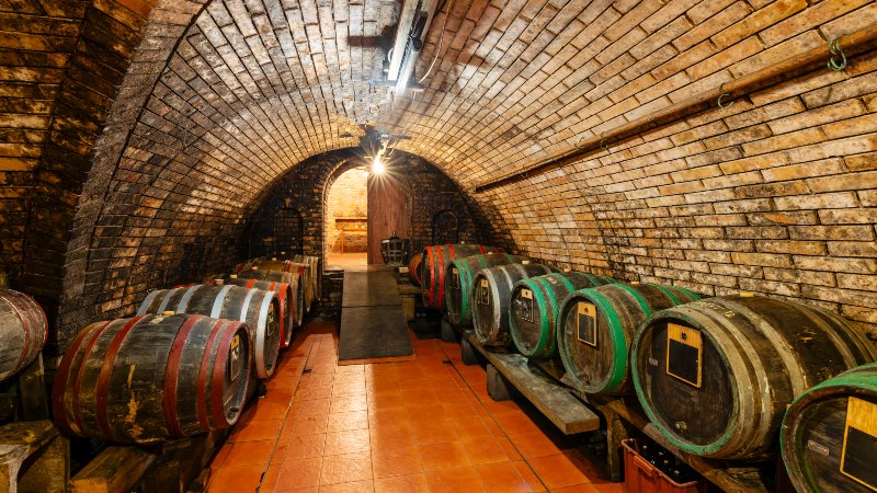 Vint�nner i vinkjeller