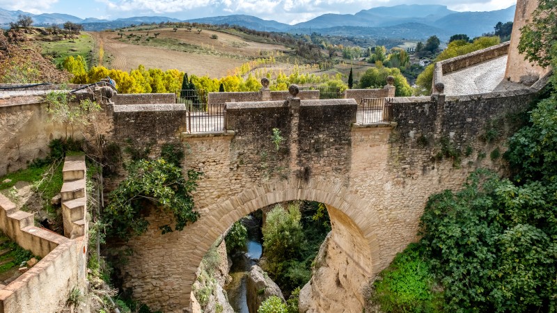 Ronda bro i murstein med grønne vekster rundt