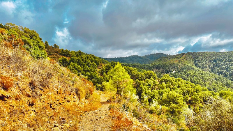 Fjellområdet i Málaga tursti, trær og fjell