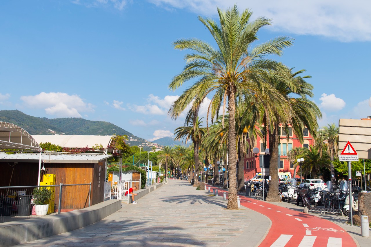 gater, tr�r og sykkelsti 