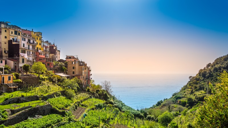 gr�nne �ser og terasser med fargerike hus