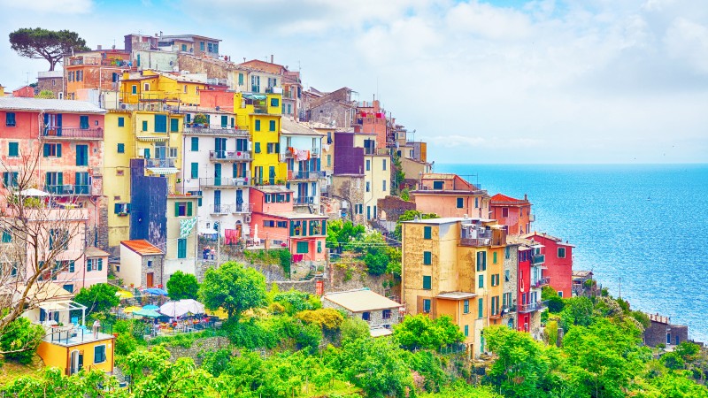 fargerike hus i klynge oppover i skogen og i h�yden 