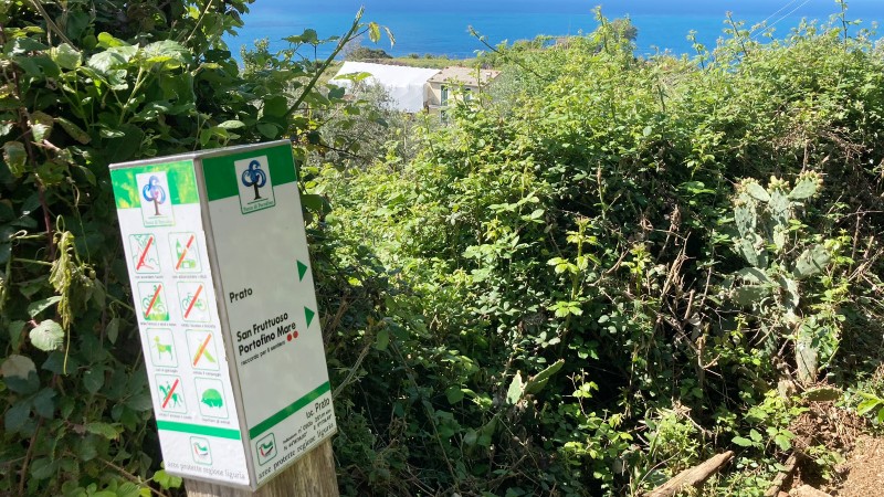 veiskilt og gr�nn buskevekst