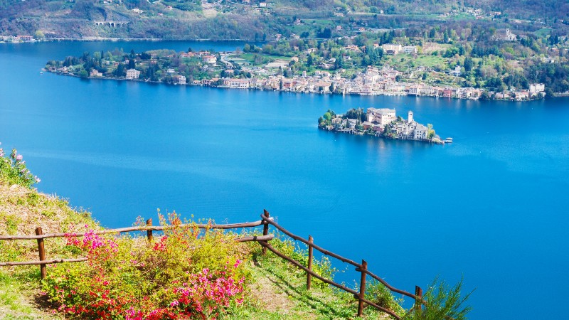 blomster, gjerde, gress �y, hus