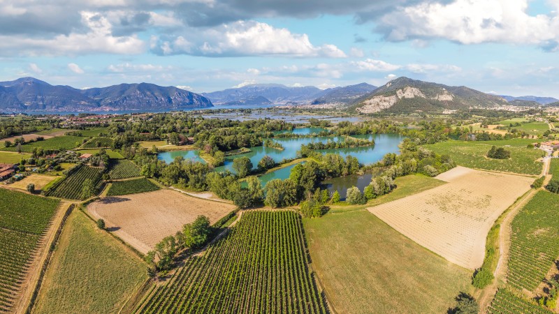 terrasser, tr�r og sj�