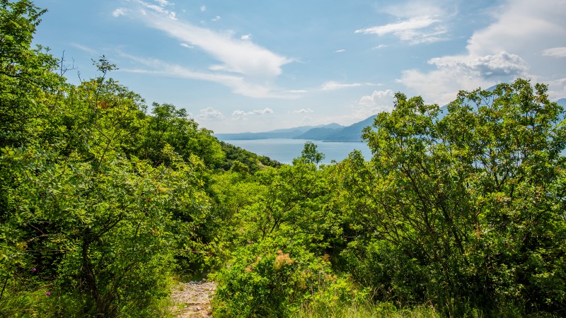 tr�r, sj� og fjell