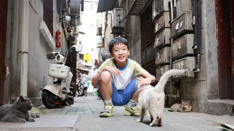 gamle bygg i Beijing, en kinesisk gutt med katt og moped i bakgrunn i dette tranget smuget