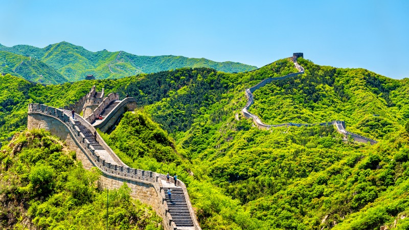 mur og gr�nnetr�r 