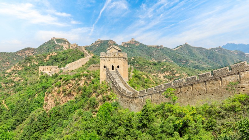 mur og gr�nne tr�r