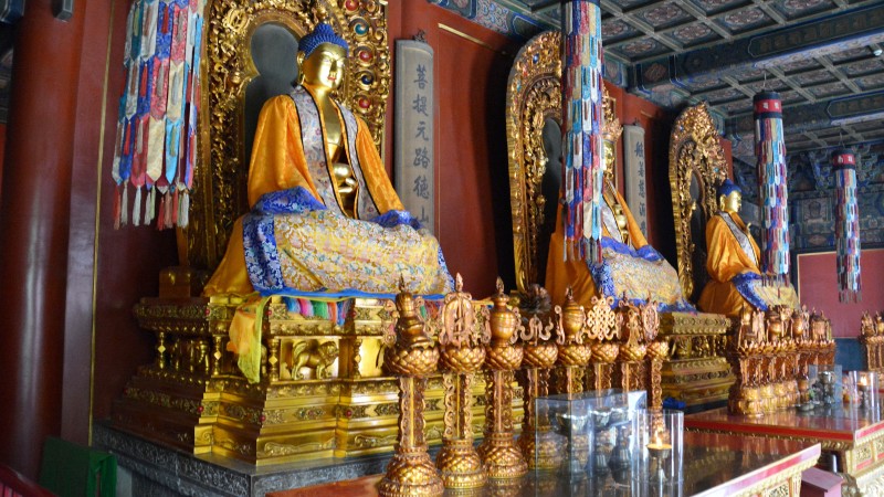 Buddha figur i gull og byggverk i bakgrunn