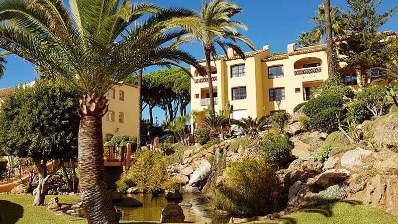 Vann og palmer p� Do�a Lolas uteomr�de